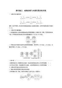 高中生物高考2023年高考生物一轮复习（新人教新高考） 第4单元 微专题三　减数分裂与可遗传变异的关系