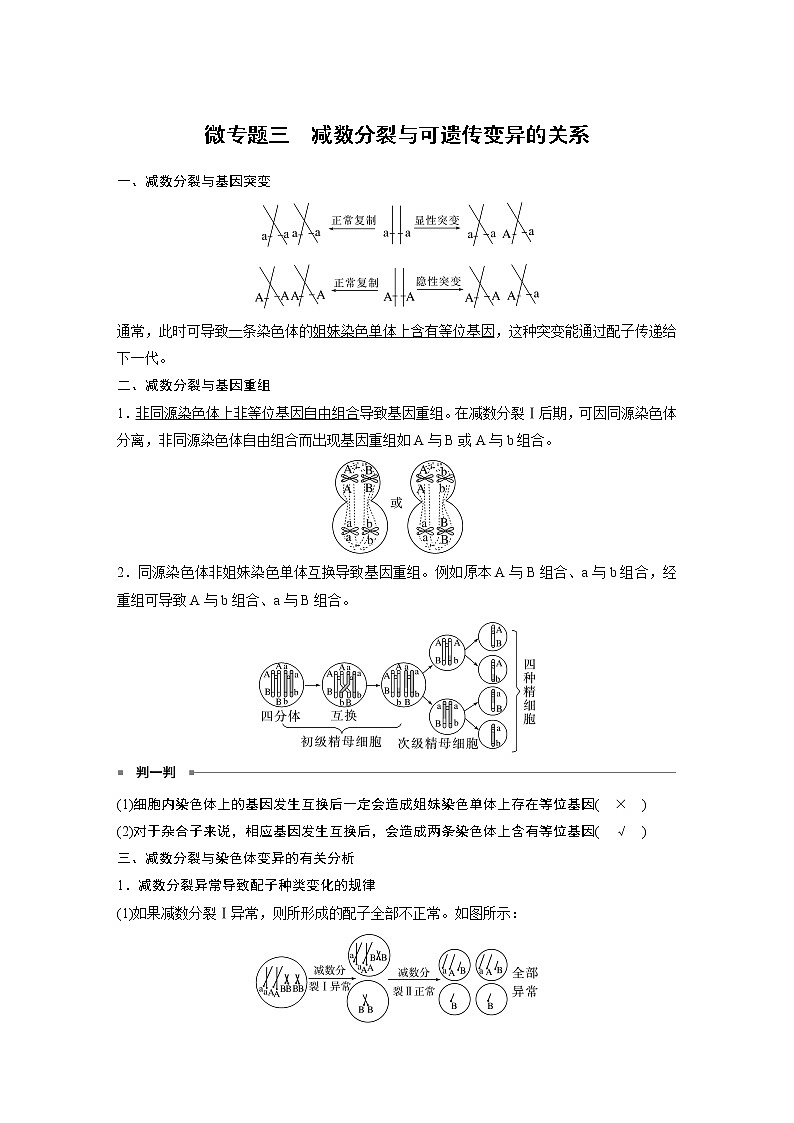 高中生物高考2023年高考生物一轮复习（新人教新高考） 第4单元 微专题三　减数分裂与可遗传变异的关系第1页