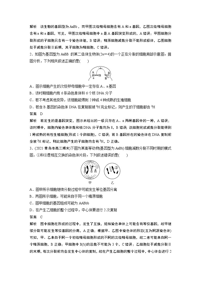 高中生物高考2023年高考生物一轮复习（新人教新高考） 第4单元 微专题三　减数分裂与可遗传变异的关系第3页