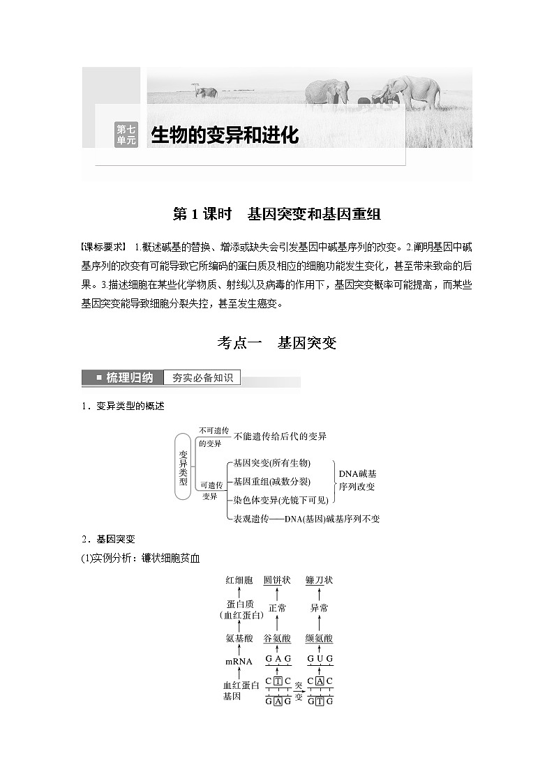 高中生物高考2023年高考生物一轮复习（新人教新高考） 第7单元 第1课时　基因突变和基因重组 试卷01