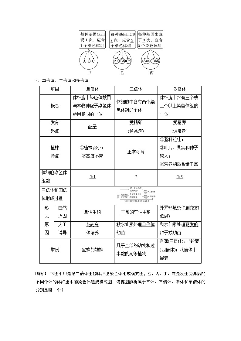 高中生物高考2023年高考生物一轮复习（新人教新高考） 第7单元 第2课时　染色体变异 试卷02