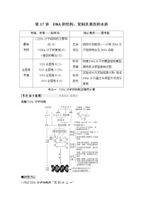 高中生物高考必修二 第六单元 第17讲