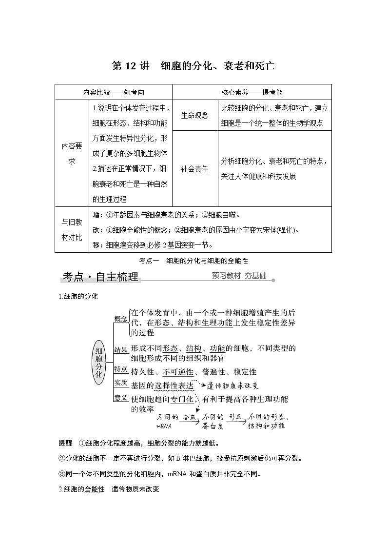 高中生物高考第12讲　细胞的分化、衰老和死亡01