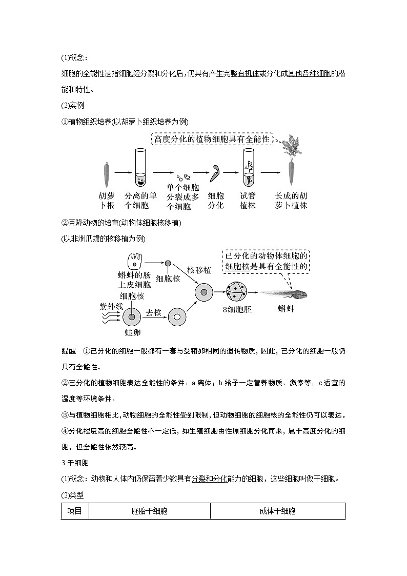 高中生物高考第12讲　细胞的分化、衰老和死亡02