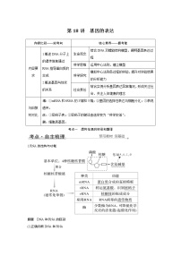 高中生物高考第18讲　基因的表达