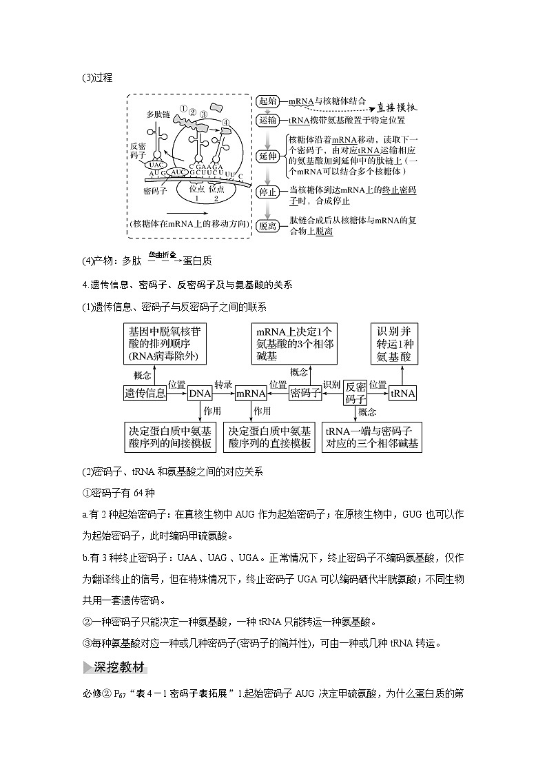 高中生物高考第18讲　基因的表达第3页