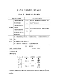 高中生物高考第19讲　基因突变与基因重组