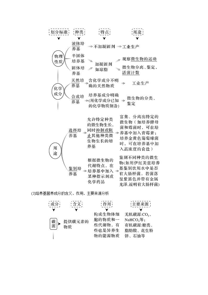 高中生物高考第31讲　微生物的培养技术及应用02