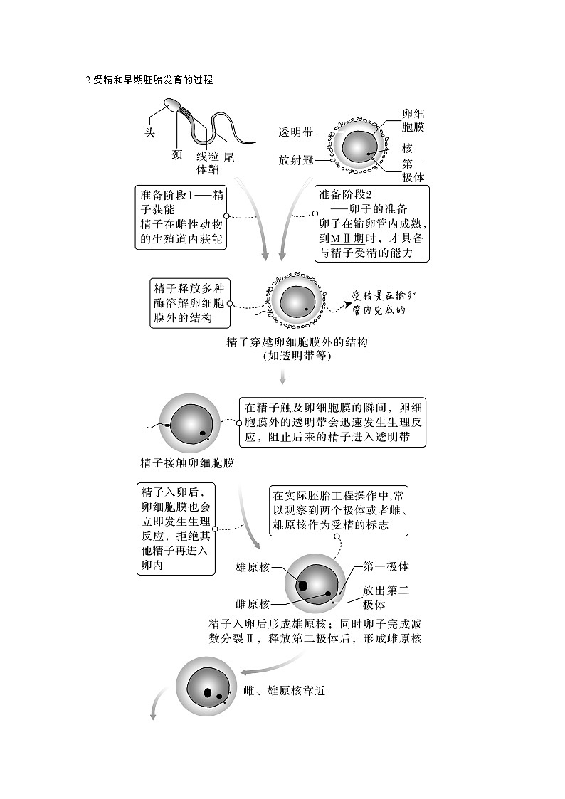 高中生物高考第34讲　胚胎工程及生物技术的安全性与伦理问题02