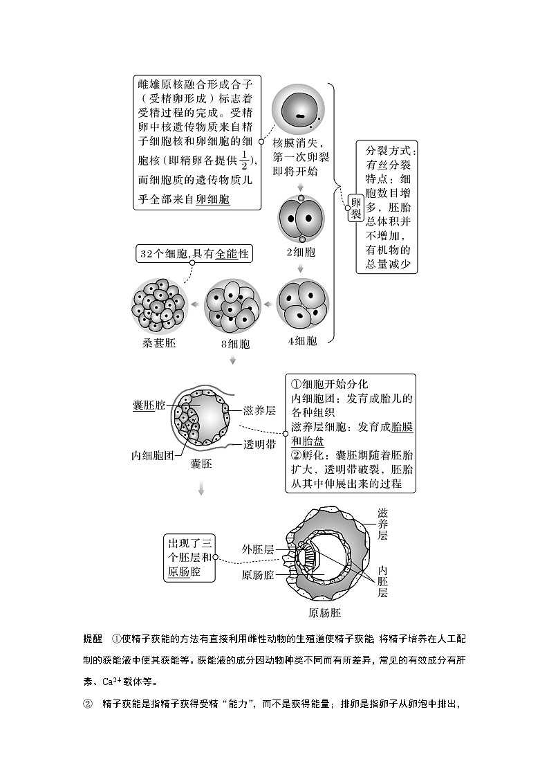 高中生物高考第34讲　胚胎工程及生物技术的安全性与伦理问题03