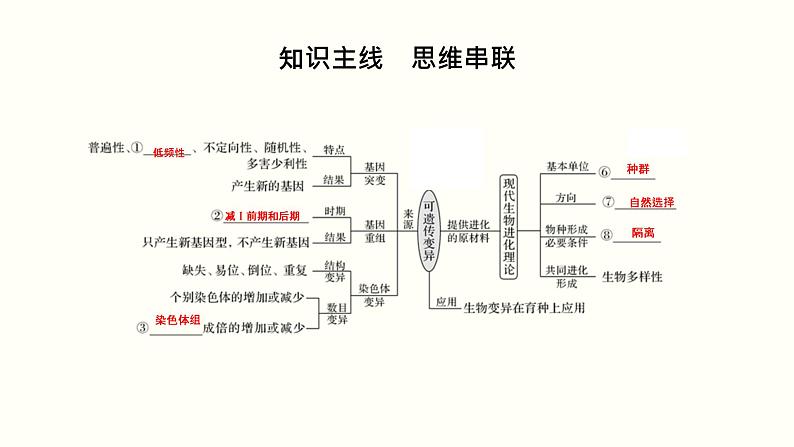 高中生物高考第八单元 生物的变异、育种与进化（课件）第2页