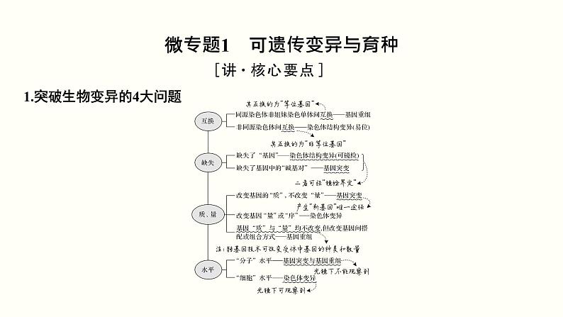 高中生物高考第八单元 生物的变异、育种与进化（课件）第3页