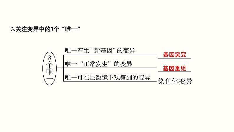 高中生物高考第八单元 生物的变异、育种与进化（课件）第7页