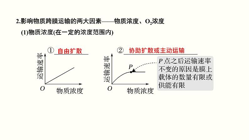 高中生物高考第二单元 物质运输、酶与ATP（课件）第5页