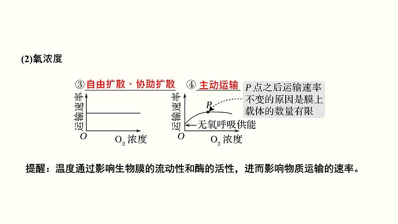 高中生物高考第二单元 物质运输、酶与ATP（课件）第6页