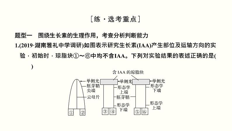 高中生物高考第九单元 植物的激素调节（课件）第7页