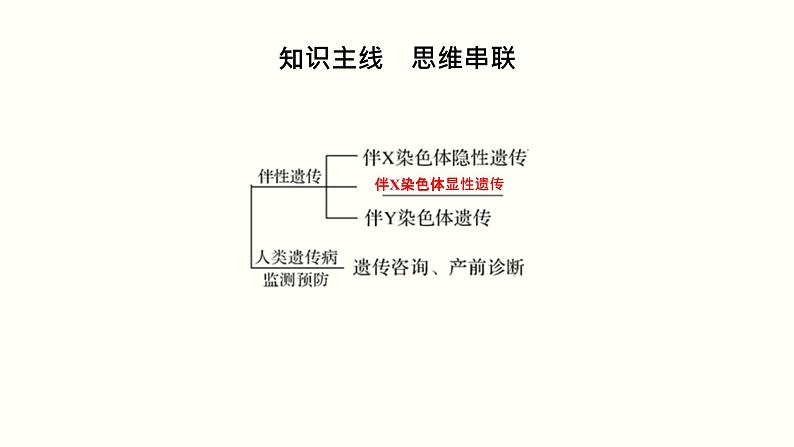 高中生物高考第七单元 伴性遗传和人类遗传病（课件）02