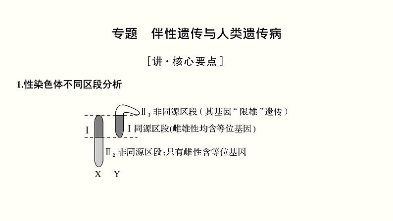 高中生物高考第七单元 伴性遗传和人类遗传病（课件）03