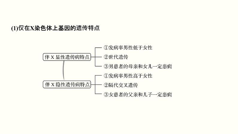 高中生物高考第七单元 伴性遗传和人类遗传病（课件）04