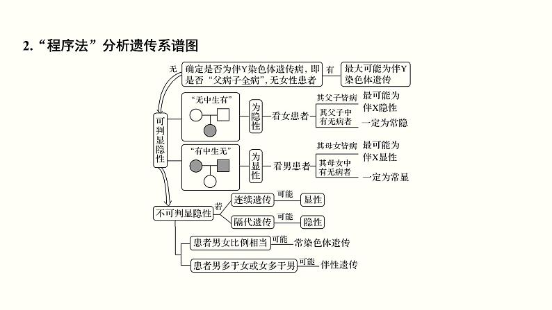 高中生物高考第七单元 伴性遗传和人类遗传病（课件）06