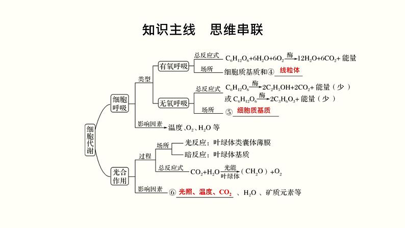 高中生物高考第三单元 光合作用与细胞呼吸（课件）第2页