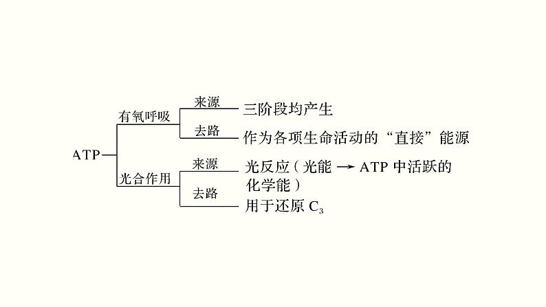 高中生物高考第三单元 光合作用与细胞呼吸（课件）第5页