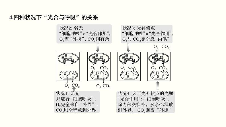 高中生物高考第三单元 光合作用与细胞呼吸（课件）第8页