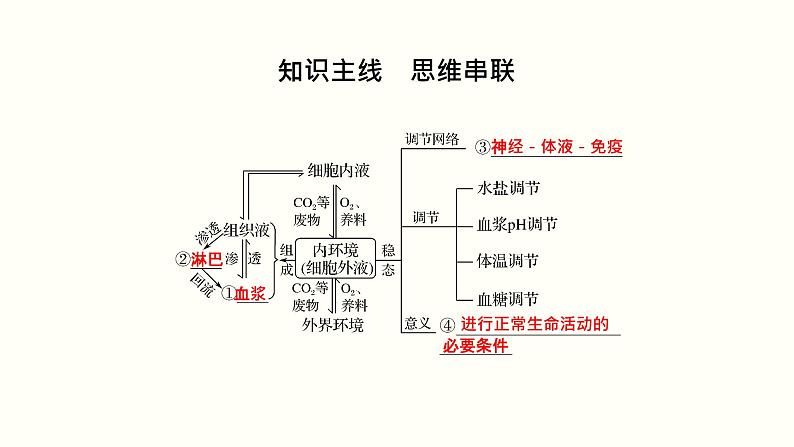 高中生物高考第十单元 内环境及其稳态（课件）02