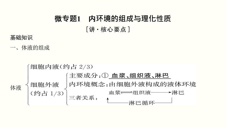 高中生物高考第十单元 内环境及其稳态（课件）03