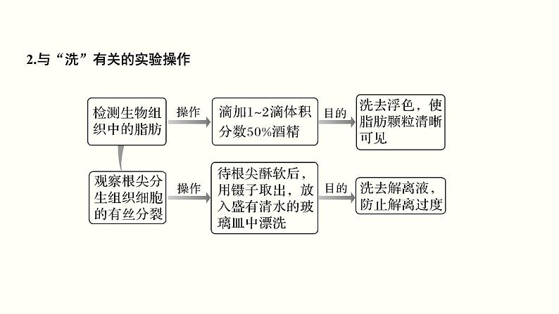 高中生物高考第十六单元 实验与探究（课件）07