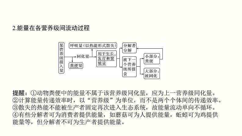 高中生物高考第十三单元 生态系统与环境保护（课件）第5页