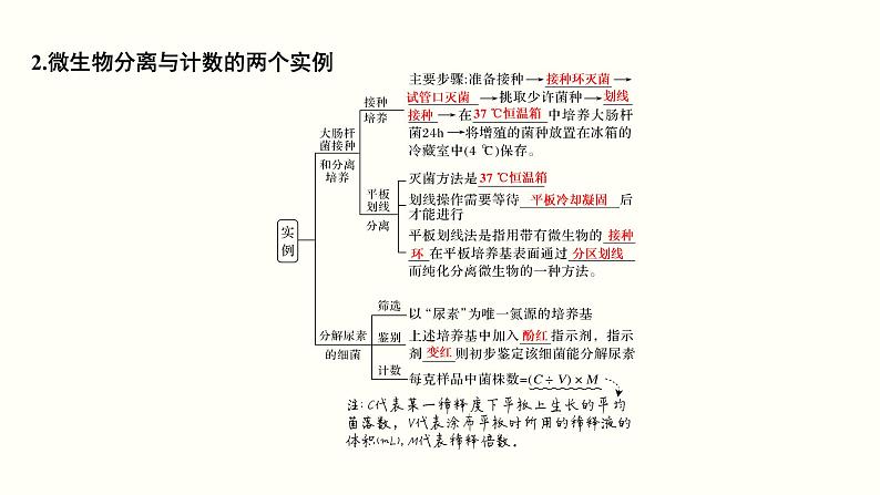 高中生物高考第十四单元 生物技术实践（课件）第5页