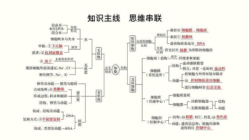 高中生物高考第一单元 细胞的组成与结构（课件）02