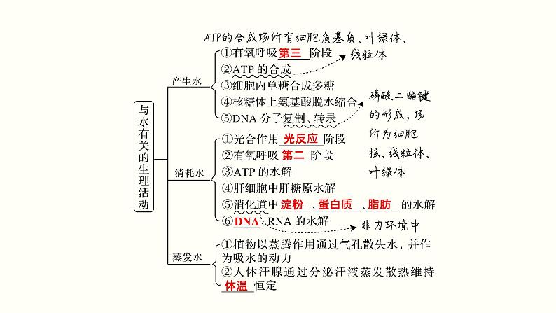 高中生物高考第一单元 细胞的组成与结构（课件）04