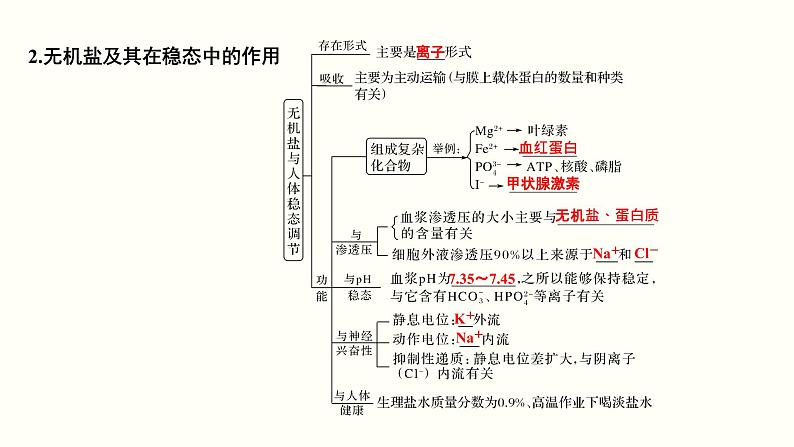 高中生物高考第一单元 细胞的组成与结构（课件）06