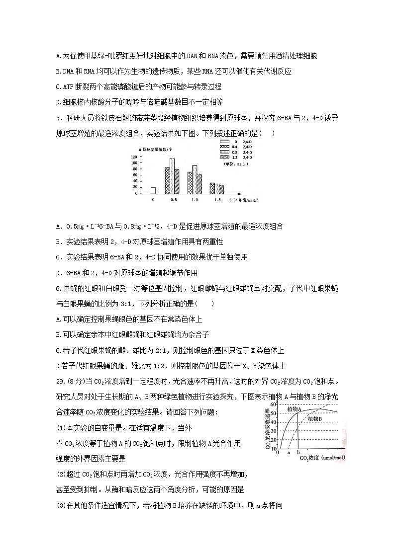 高中生物高考广东省蕉岭县蕉岭中学2019届高三生物下学期第一次适应性考试试题02