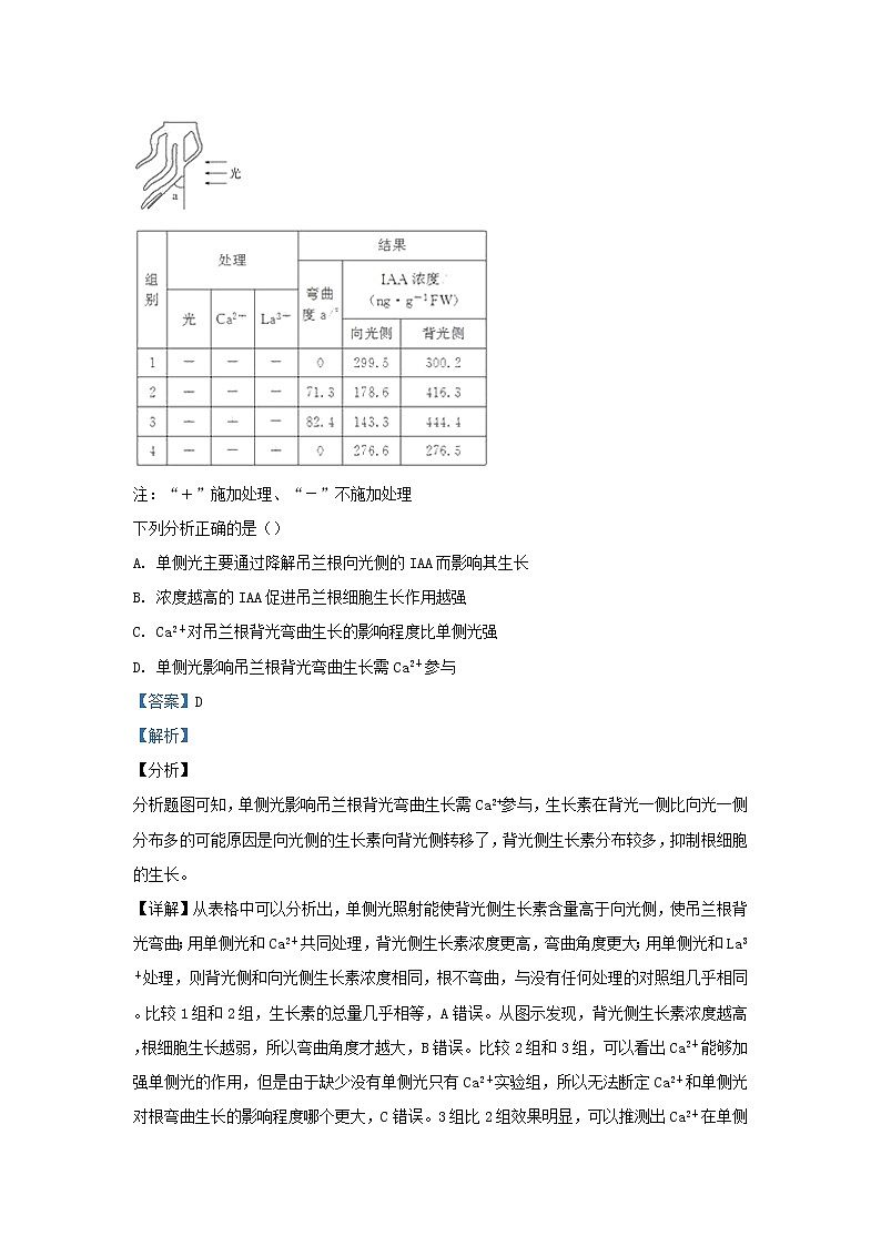 高中生物高考广西壮族自治区玉林县兴业第二中学2019届高三生物下学期模拟考试试卷（含解析）第3页