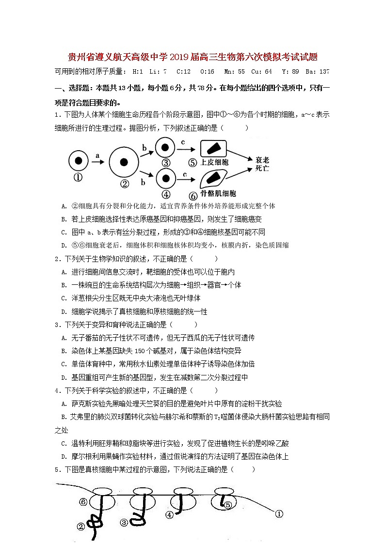 高中生物高考贵州省遵义航天高级中学2019届高三生物第六次模拟考试试题01