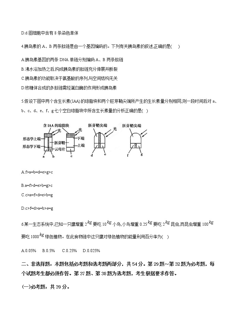 高中生物高考黄金卷01-【赢在高考•黄金20卷】备战2021高考生物全真模拟卷（新课标）（原卷版）02