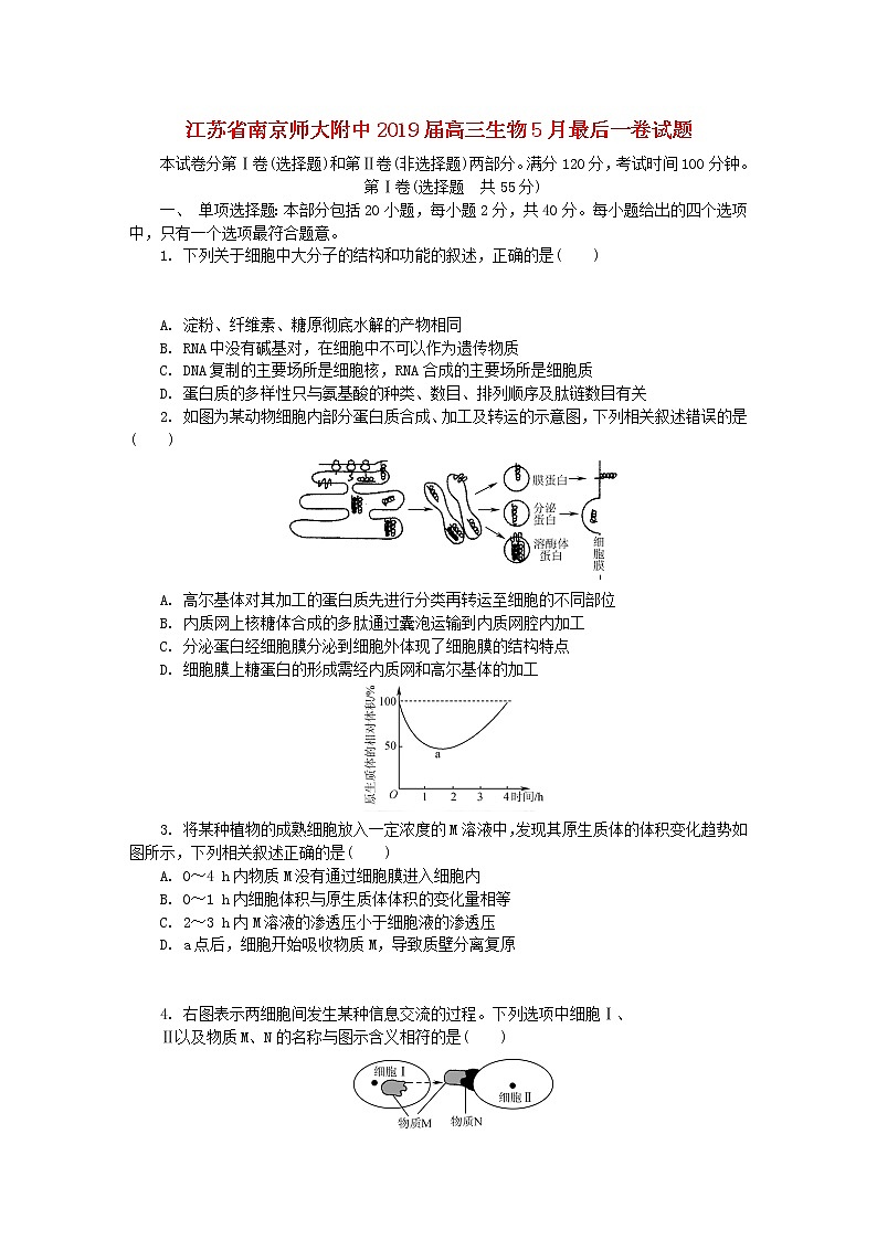 高中生物高考江苏省南京师大附中2019届高三生物5月最后一卷试题第1页
