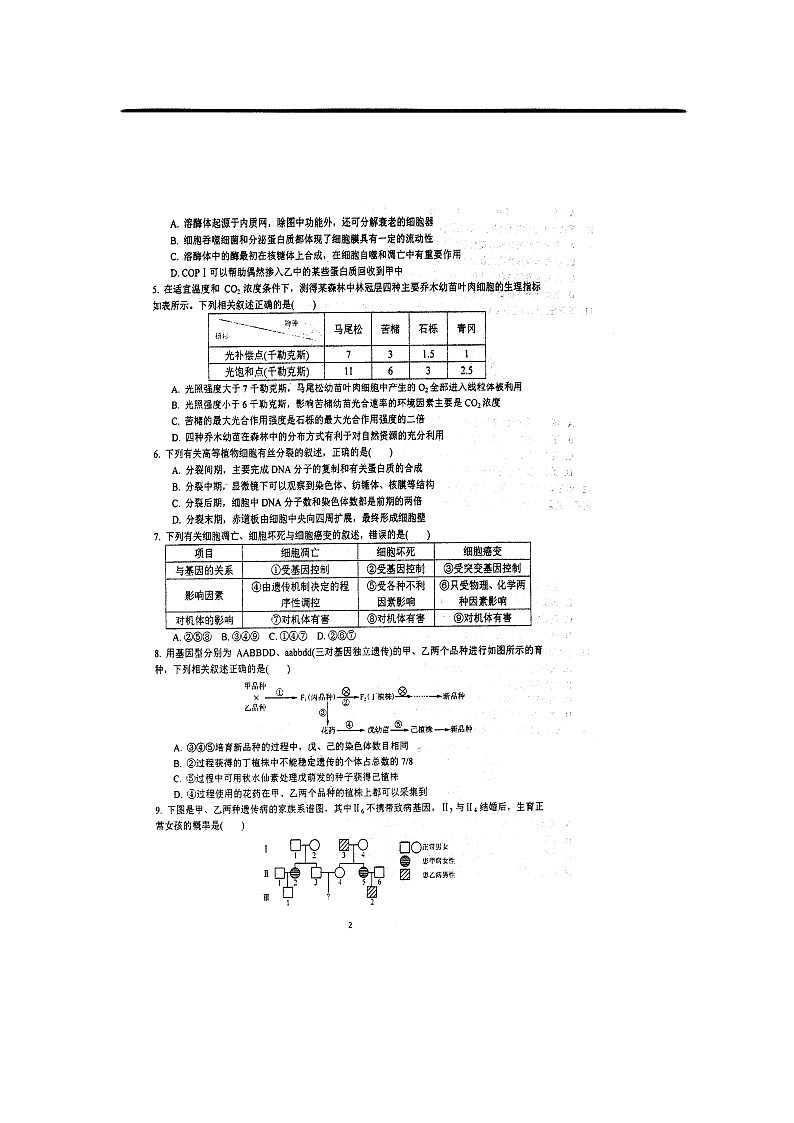 高中生物高考江苏省泰州中学2019届高三生物第四次模拟考试（5月）试题（扫描版）02
