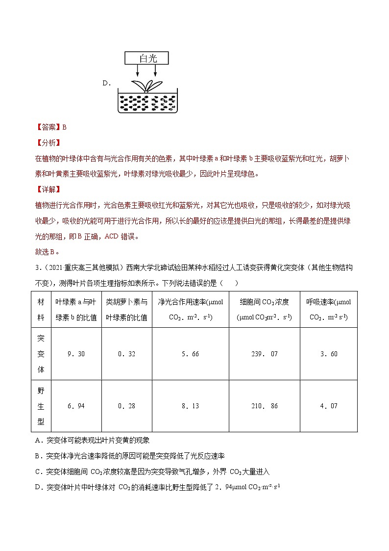 高中生物高考解密06 能量之源——光与光合作用（分层训练）（解析版）第2页