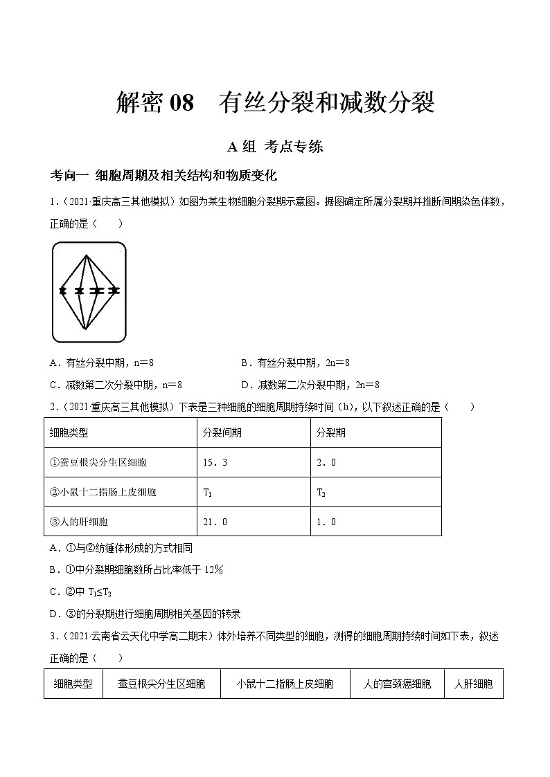 高中生物高考解密08 有丝分裂和减数分裂（分层训练）（原卷版）第1页