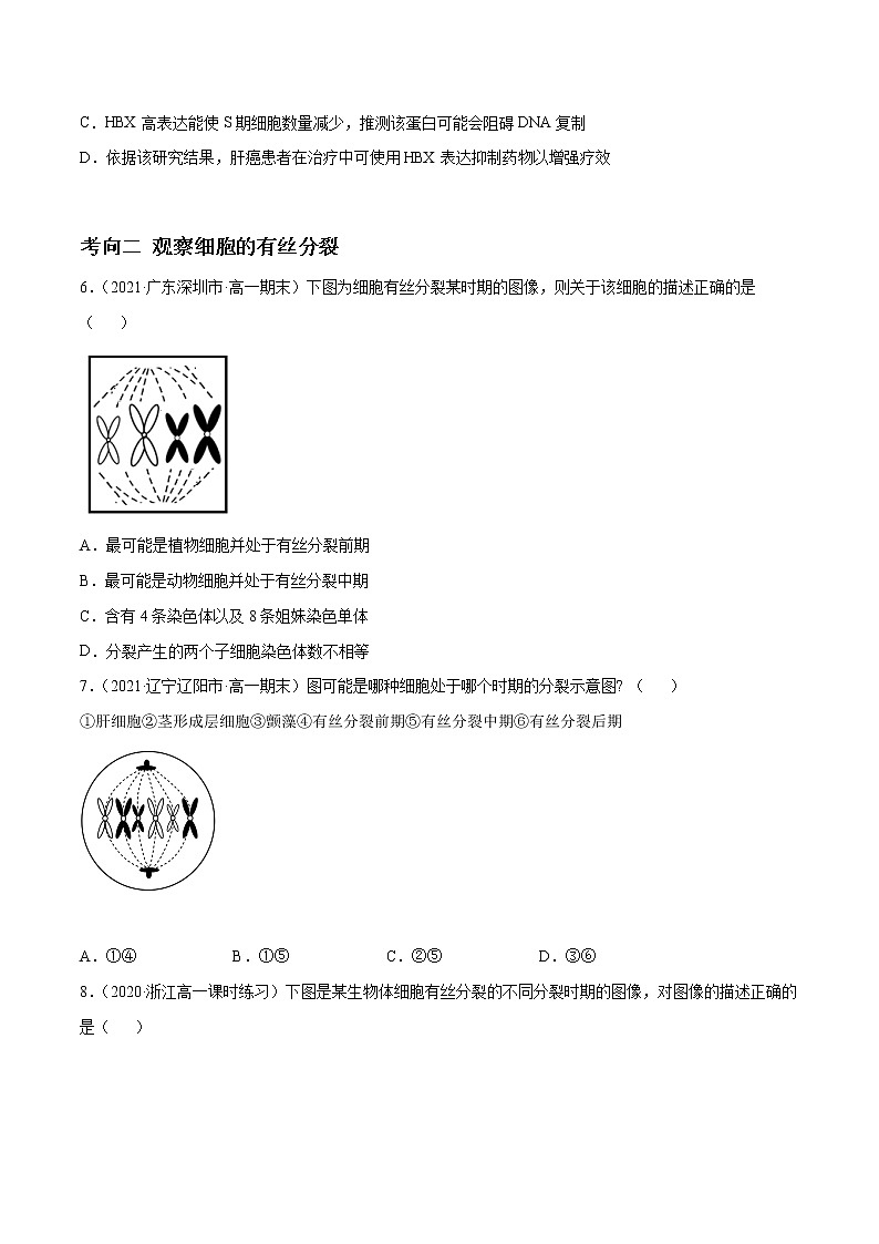 高中生物高考解密08 有丝分裂和减数分裂（分层训练）（原卷版）第3页