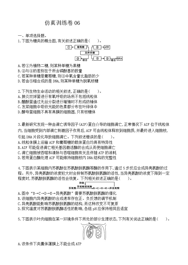 高中生物高考仿真训练卷06-2021届高三生物二轮复习新高考版（含解析）第1页