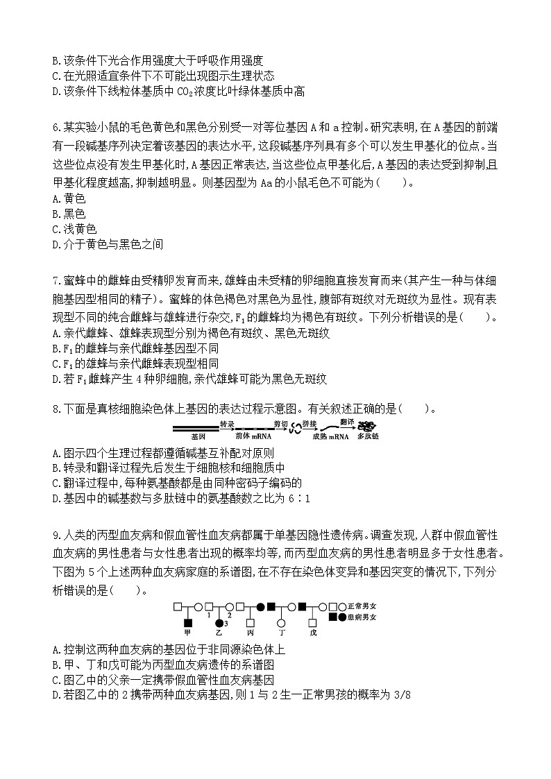 高中生物高考仿真训练卷06-2021届高三生物二轮复习新高考版（含解析）第2页