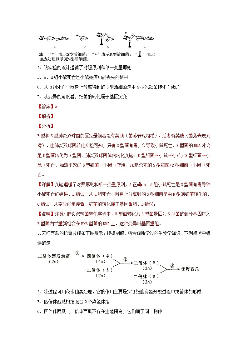 高中生物高考甘肃省酒泉市酒泉中学2019届高三生物下学期模拟试卷（含解析）第3页