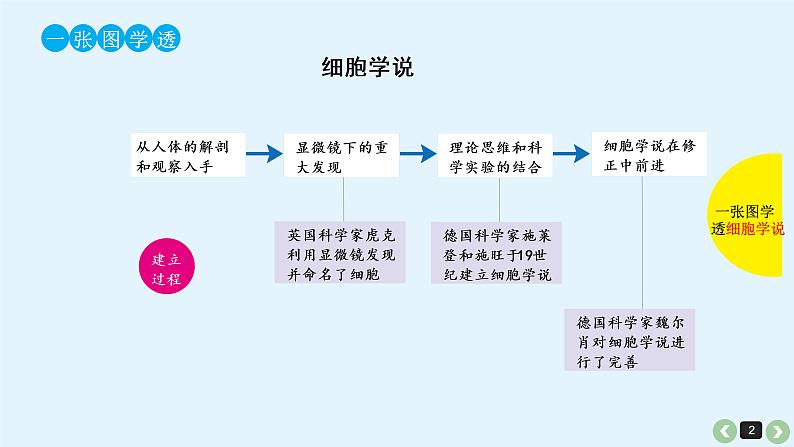 高中生物高考高考生物（全国版）一轮复习课件：第5课-细胞学说的建立、真核细胞和原核细胞的比较第2页