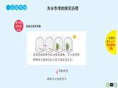 高中生物高考高考生物（全国版）一轮复习课件：第13课-光合作用