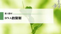 高中生物高考2023年高考生物一轮复习（新人教新高考） 第6单元 第3课时　DNA的复制课件PPT
